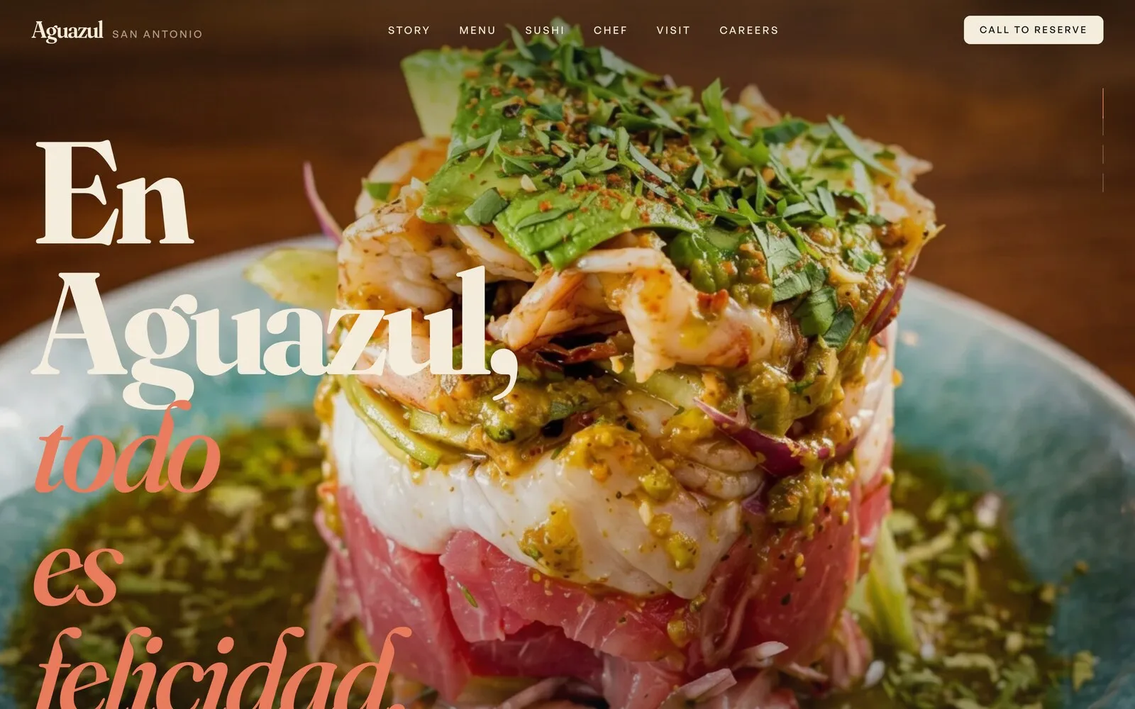 Aguazul website